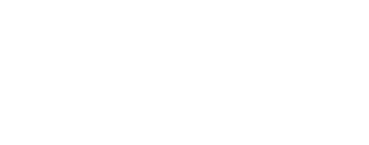 Buffalo Dreams Cannabis Dispensary logo